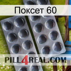 Поксет 60 31